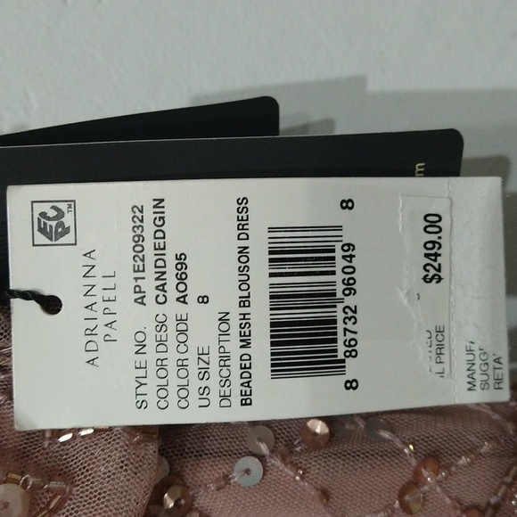 Adrianna Papell Women's Beaded Mesh Blouson Dress - Picture 11 of 13